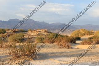 Photo Reference of Background Desert
